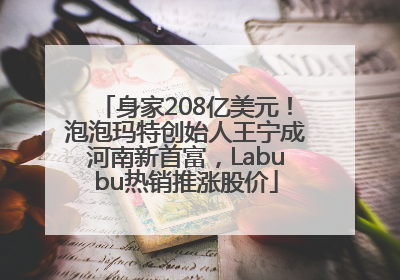 身家208亿美元！泡泡玛特创始人王宁成河南新首富，Labubu热销推涨股价