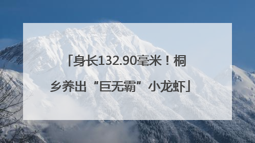身长132.90毫米！桐乡养出“巨无霸”小龙虾