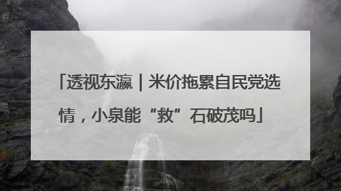 透视东瀛｜米价拖累自民党选情，小泉能“救”石破茂吗