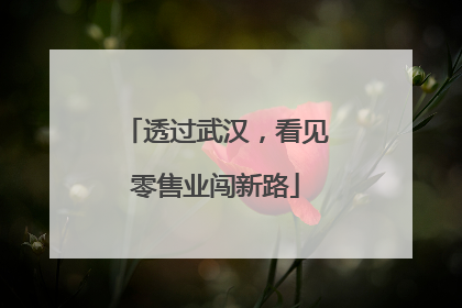透过武汉，看见零售业闯新路