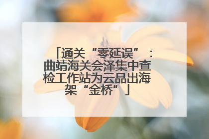 通关“零延误”：曲靖海关会泽集中查检工作站为云品出海架“金桥”