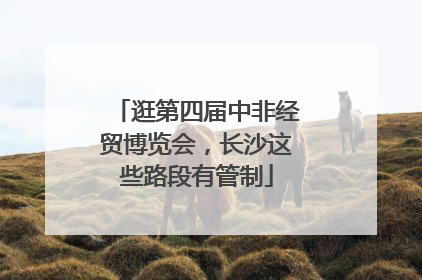 逛第四届中非经贸博览会，长沙这些路段有管制