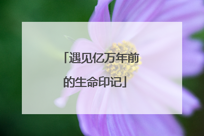 遇见亿万年前的生命印记