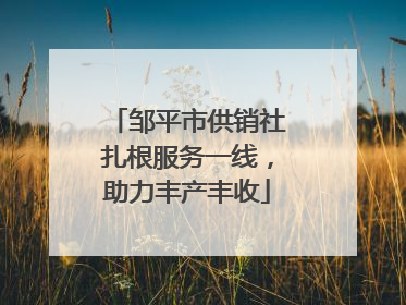 邹平市供销社扎根服务一线，助力丰产丰收