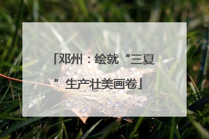 邓州：绘就“三夏”生产壮美画卷