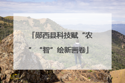 郧西县科技赋“农”“智”绘新画卷
