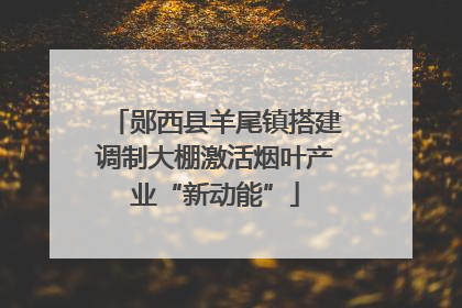 郧西县羊尾镇搭建调制大棚激活烟叶产业“新动能”
