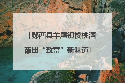郧西县羊尾镇樱桃酒酿出“致富”新味道