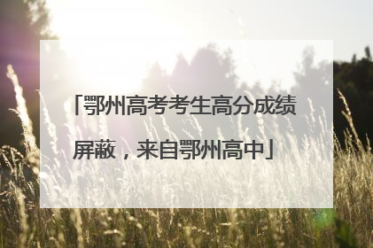 鄂州高考考生高分成绩屏蔽，来自鄂州高中