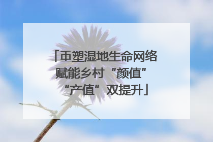 重塑湿地生命网络 赋能乡村“颜值”“产值”双提升