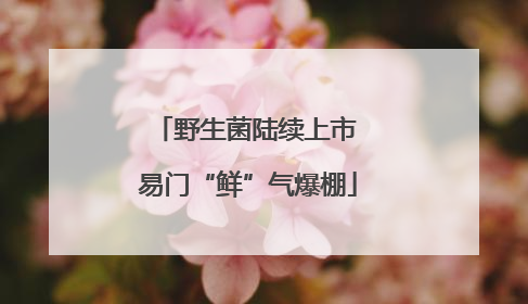 野生菌陆续上市 易门“鲜”气爆棚