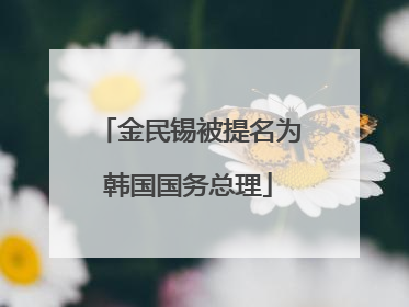 金民锡被提名为韩国国务总理