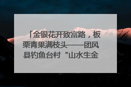 金银花开致富路，板栗青果满枝头——团风县钓鱼台村“山水生金”谱写共富新篇章