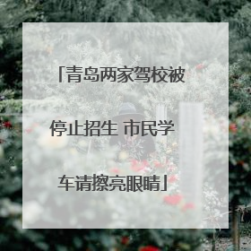 青岛两家驾校被停止招生 市民学车请擦亮眼睛