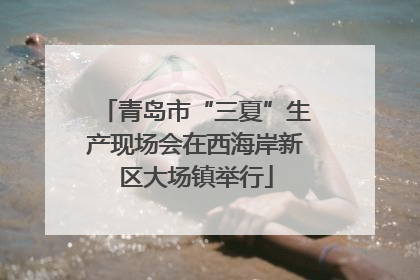 青岛市“三夏”生产现场会在西海岸新区大场镇举行