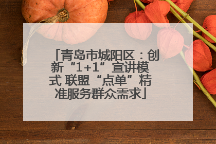 青岛市城阳区：创新“1+1”宣讲模式 联盟“点单”精准服务群众需求