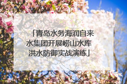 青岛水务海润自来水集团开展崂山水库洪水防御实战演练