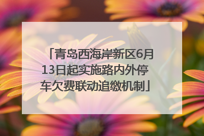 青岛西海岸新区6月13日起实施路内外停车欠费联动追缴机制