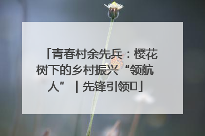 青春村余先兵：樱花树下的乡村振兴“领航人”｜先锋引领⑪