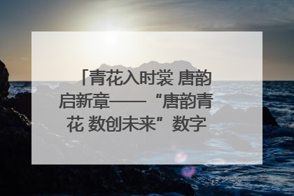 青花入时裳 唐韵启新章——“唐韵青花 数创未来”数字文创设计大赛启幕