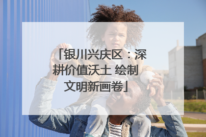 银川兴庆区：深耕价值沃土 绘制文明新画卷
