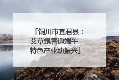 铜川市宜君县：艾草飘香迎端午 特色产业助振兴