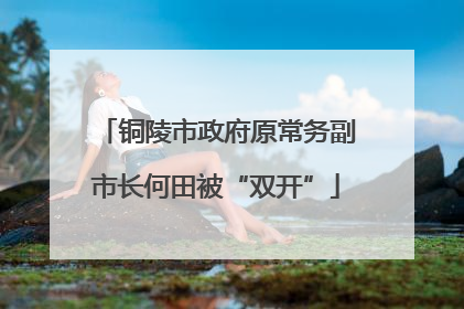 铜陵市政府原常务副市长何田被“双开”