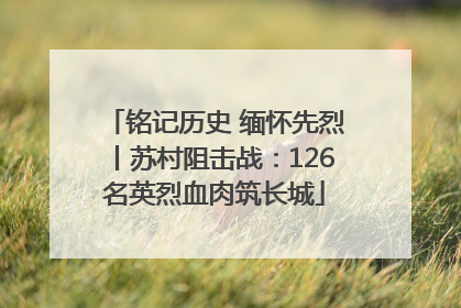铭记历史 缅怀先烈丨苏村阻击战：126名英烈血肉筑长城