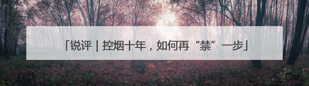 锐评｜控烟十年，如何再“禁”一步