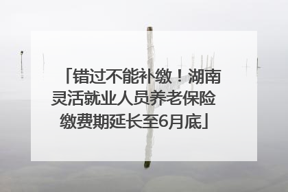 错过不能补缴！湖南灵活就业人员养老保险缴费期延长至6月底