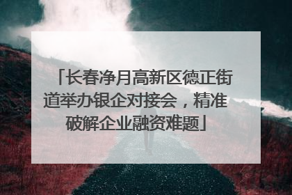 长春净月高新区德正街道举办银企对接会，精准破解企业融资难题