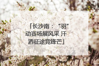 长沙南：“羽”动赛场展风采 汗洒征途竞锋芒