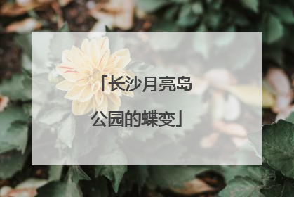 长沙月亮岛公园的蝶变