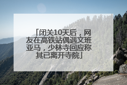 闭关10天后，网友在高铁站偶遇文班亚马，少林寺回应称其已离开寺院