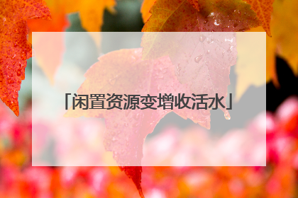 闲置资源变增收活水