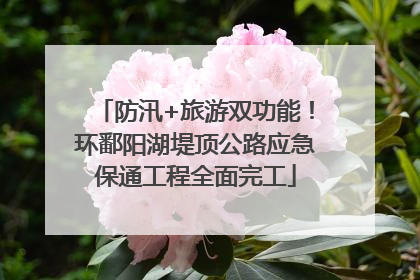 防汛+旅游双功能！环鄱阳湖堤顶公路应急保通工程全面完工