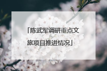 陈武军调研重点文旅项目推进情况