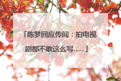 陈梦回应传闻：拍电视剧都不敢这么写……