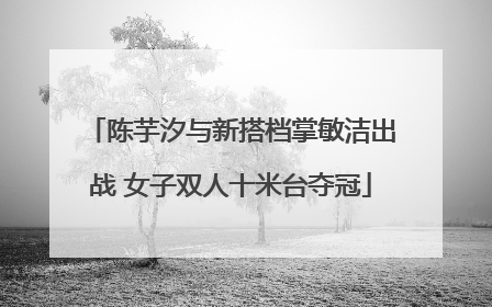 陈芋汐与新搭档掌敏洁出战 女子双人十米台夺冠