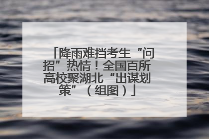 降雨难挡考生“问招”热情！全国百所高校聚湖北“出谋划策”（组图）