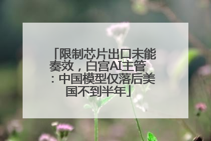限制芯片出口未能奏效，白宫AI主管：中国模型仅落后美国不到半年