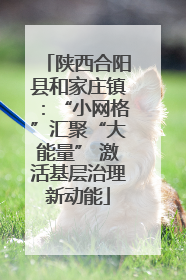 陕西合阳县和家庄镇：“小网格”汇聚“大能量” 激活基层治理新动能