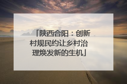 陕西合阳：创新村规民约让乡村治理焕发新的生机