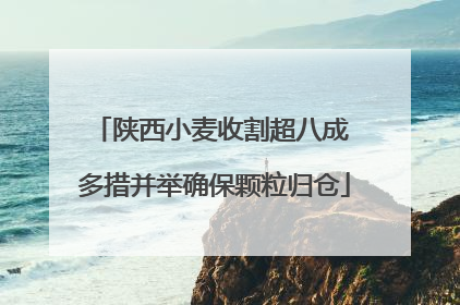 陕西小麦收割超八成 多措并举确保颗粒归仓