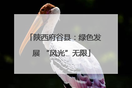 陕西府谷县：绿色发展 “风光”无限