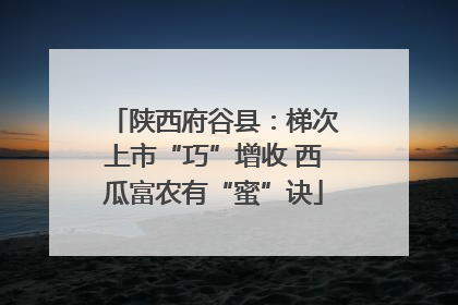 陕西府谷县：梯次上市“巧”增收 西瓜富农有“蜜”诀