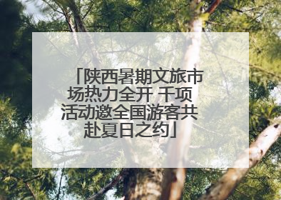 陕西暑期文旅市场热力全开 千项活动邀全国游客共赴夏日之约