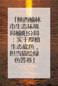陕西榆林市生态环境局榆阳分局：实干厚植生态底色，担当描绘绿色答卷