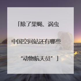 除了果蝇、涡虫 中国空间站还有哪些“动物航天员”
