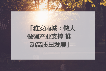 雅安雨城：做大做强产业支撑 推动高质量发展